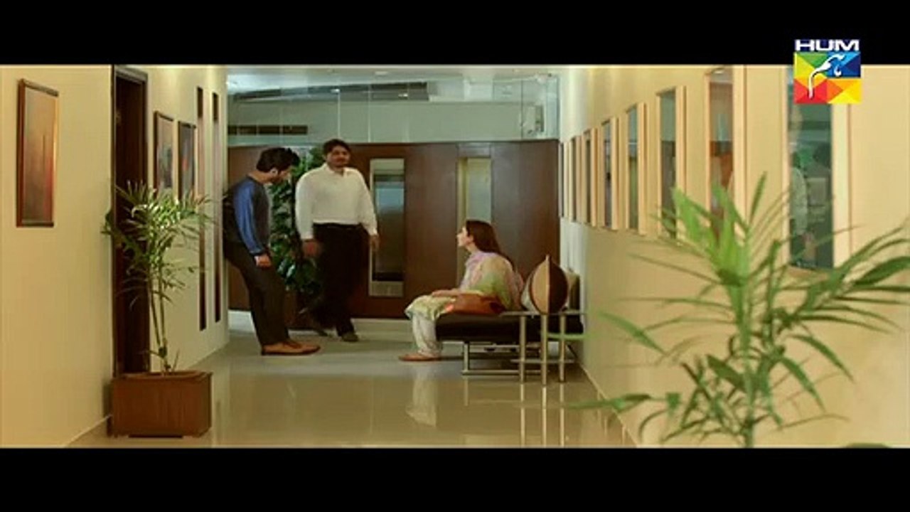 Woh Aik Pal Episode 15 HUM TV Drama - 17 June 2017(380)