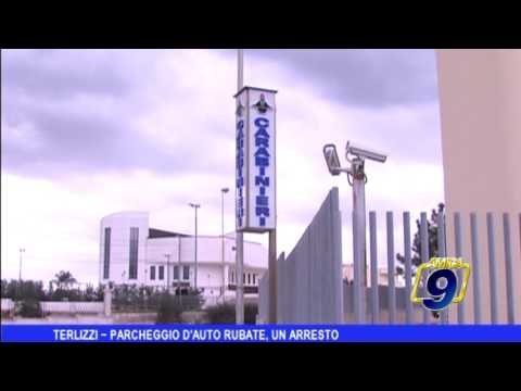 Terlizzi | Scoperto parcheggio di auto rubate, un arresto
