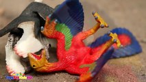 Videos de Dinosaurios para niños Dinosaurios de Juguete Microraptor Schleich Dinosaur_Dino