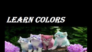 Learn Colours For Kids