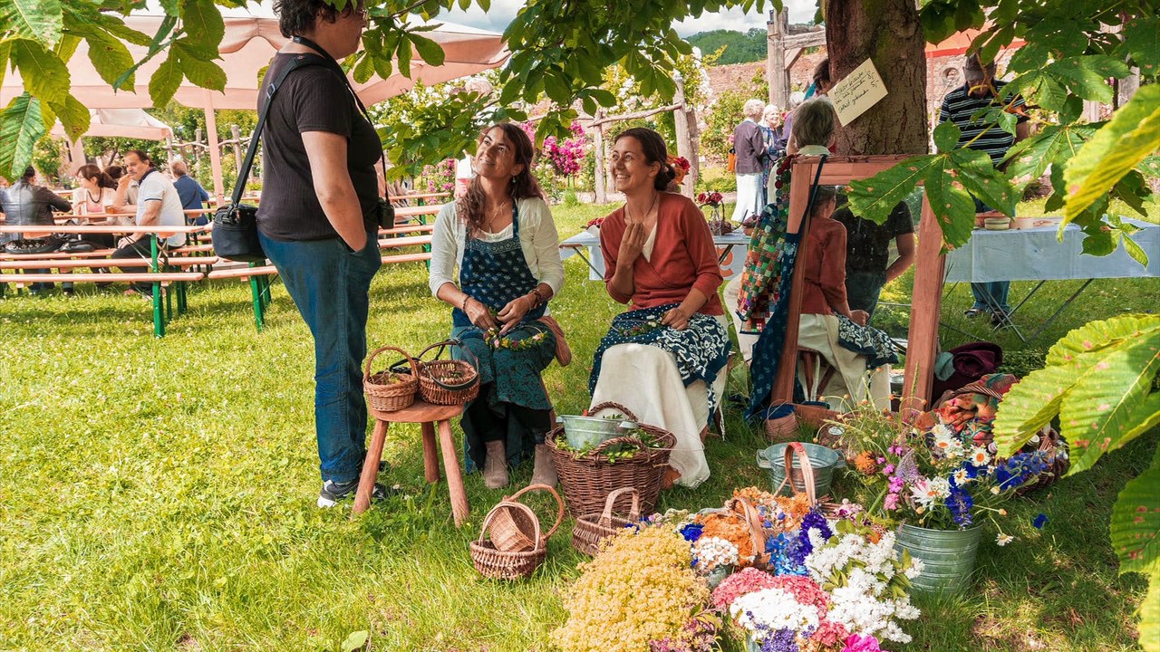Rosenfest 2017 klosterruine "heilig kreuz" in meißen