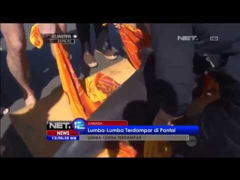 Seekor paus pembunuh palsu terdampar di Canada - NET12