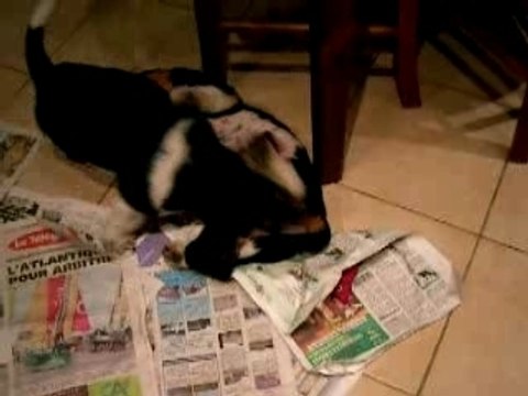 La maison des petits matins calmes