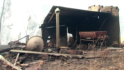 Portugal: gigantesque incendie de forêt, 57 morts