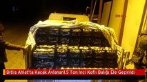 Bitlis Ahlat'ta Kaçak Avlanan1.5 Ton Inci Keflı Balığı Ele Geçirildi
