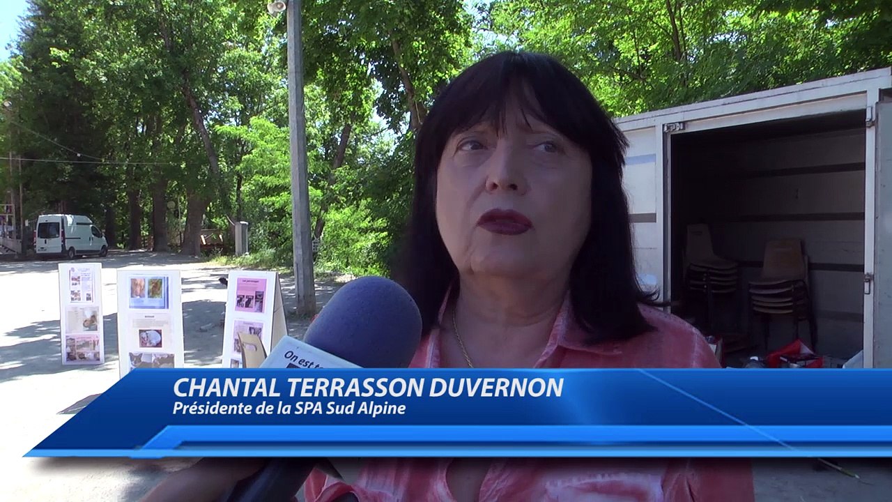 D!CI TV : la SPA Sud Alpine a présenté quelques chiens en manque d'amour à Gap