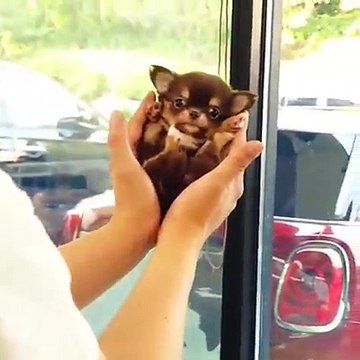 MetDaan Creative (1)