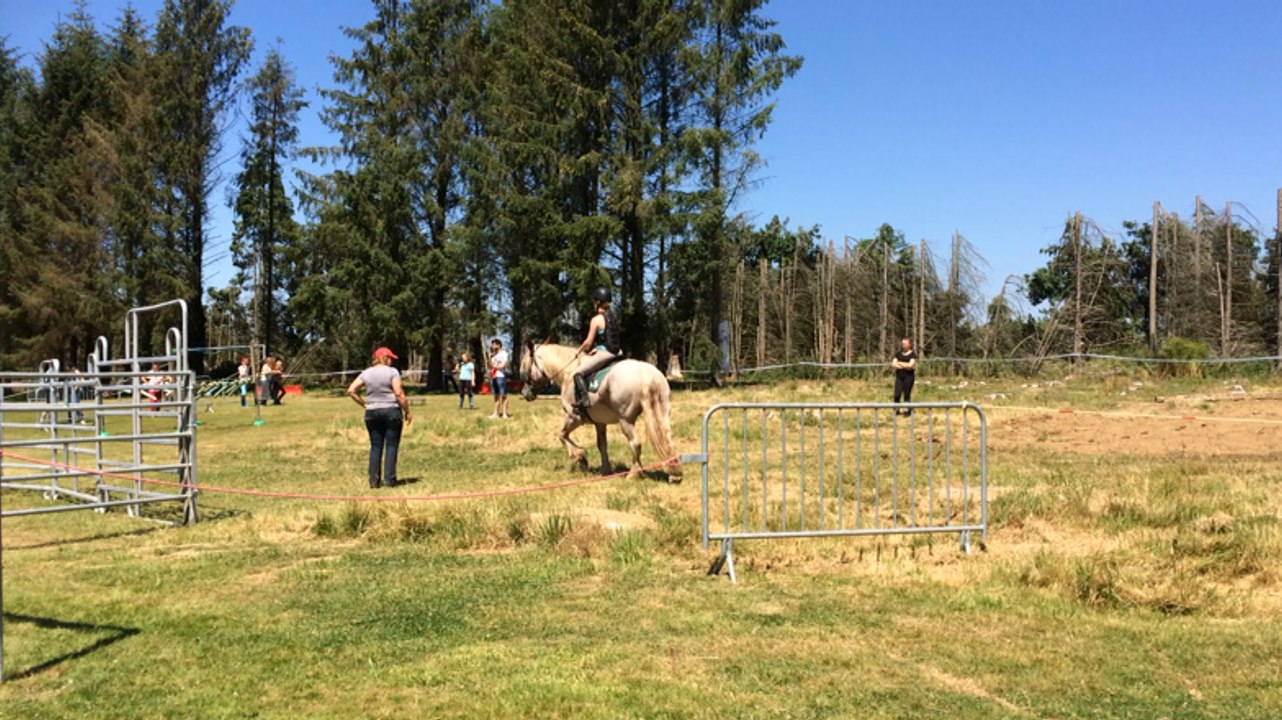 La journée du cheval à Kervidanou