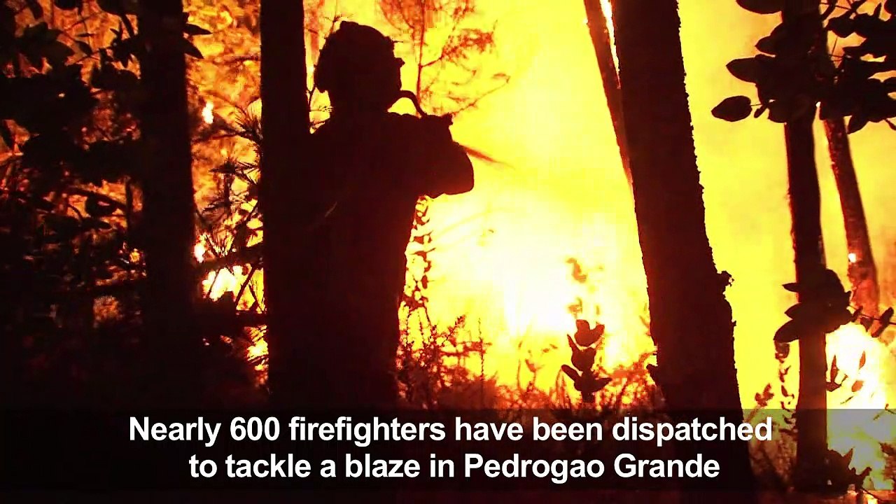 Au moins 62 morts au Portugal incendies de forêt