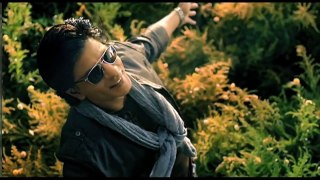 Jab Harry Met Sejal Trailer 2017 Shahrukh Khan N Anuska Sharma