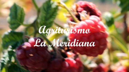 Offerta Abruzzo 7 notti 4 persone a partire da € 490 !