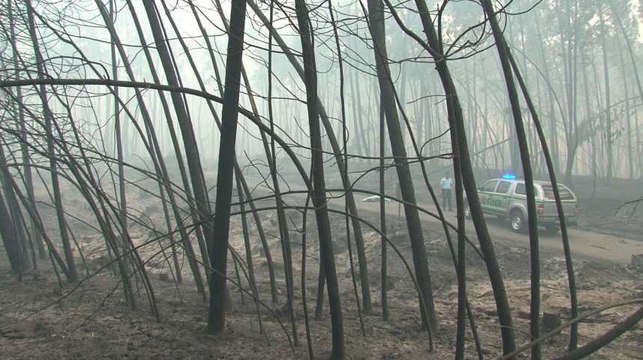 Portugal : un violent incendie fait plusieurs dizaines de morts