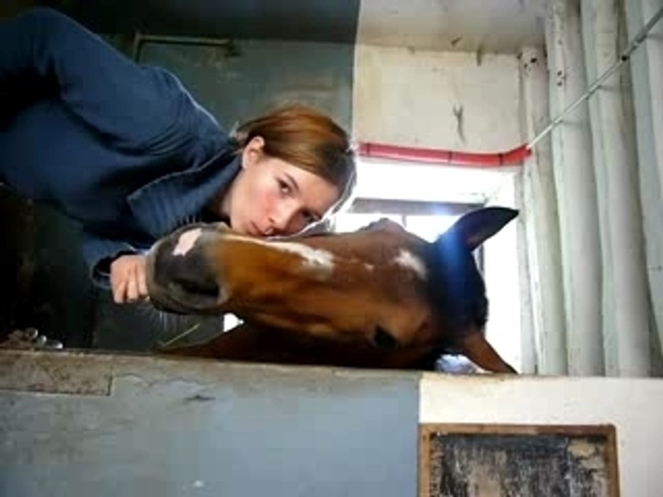 Coycoy et moi