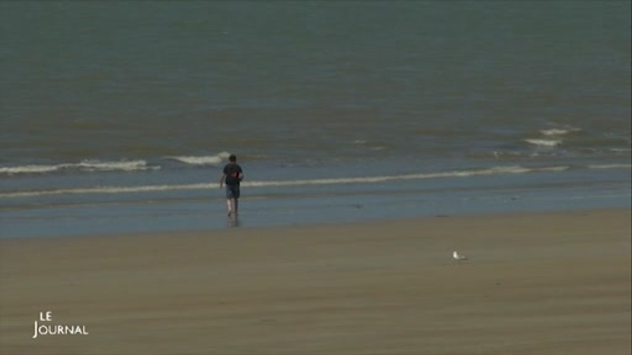 Protection du littoral : Bilan d'une expérience en Vendée