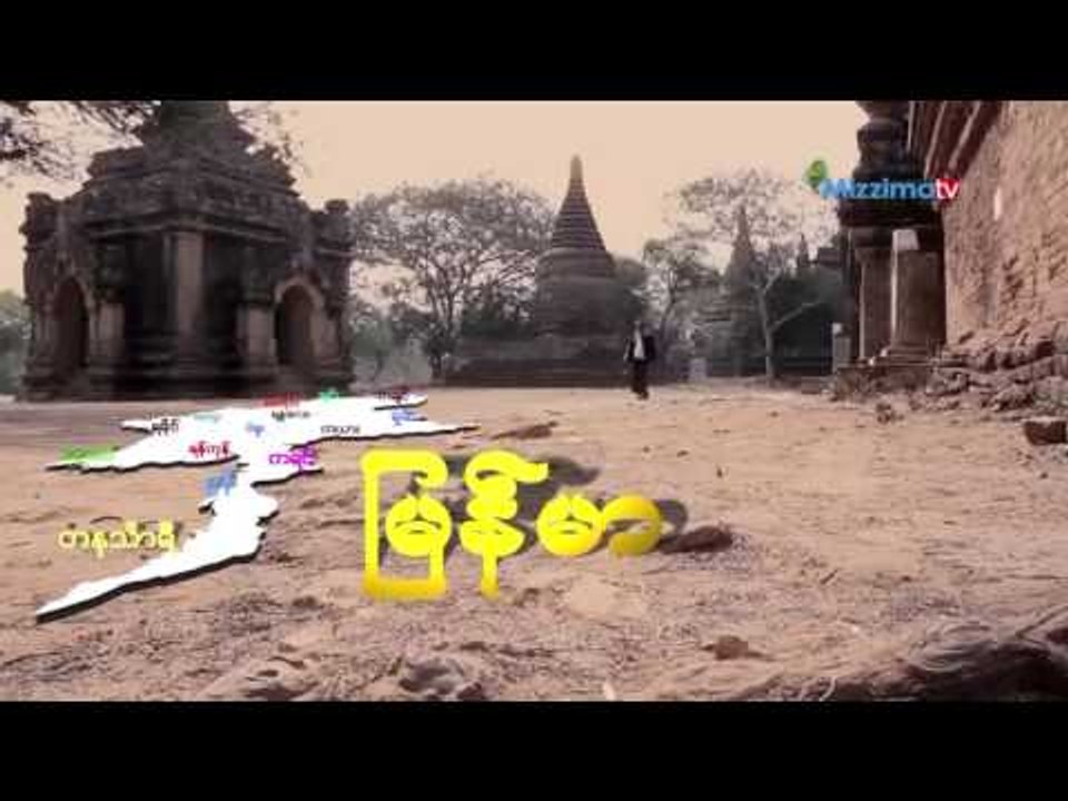 ကံေကာင္းပင္ (သို႔မဟုတ္)က်ြဲေကာပင္စိုက္ပ်ိဳးေရး (Part_3)