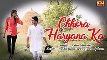 Chhora Haryana Ka ¦ छोरा हरयाणा का ¦ Haryanvi Dhamaka Song ¦ Ashu Morkhi ¦ Pooja Punjaban ¦ ND Music