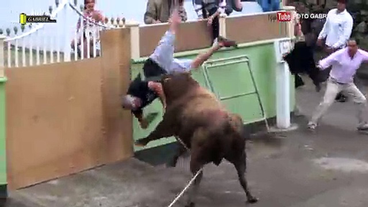 Portugal: Hypnotisé par son iPad, il se fait embrocher par un taureau !