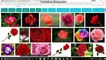 How to find copyright free images with Google Image Search