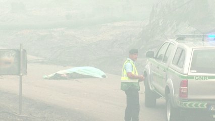 Portugal: gigantesque incendie de forêt, 57 morts