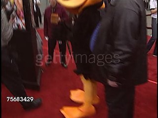 Brendan Fraser at the Looney Tunes Back in Action Premiere