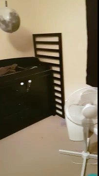 Un enfant jouait à cache-cache va se faire repérer malgré lui !! Drôle