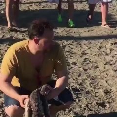 Oyuncak Yılanla Milleti Trolleyen Adam(Funny Video)