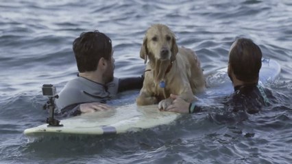 ΣΤΟ ΔΡΟΜΟ (Επ.12)Τήνος - Σαντορίνη18/6/2017