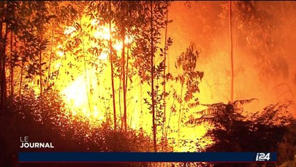 Feu de forêt au Portugal: le gouvernement décrète trois jours de deuil national