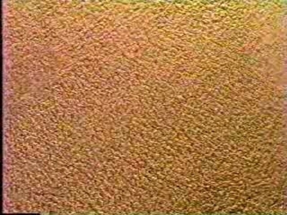 Woolite Rug Cleaner