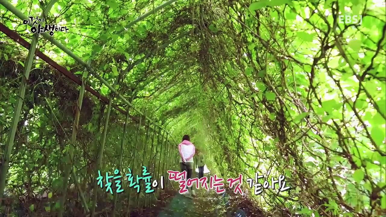 이것이 야생이다 - 제8화- 피라미도 가지고 있는 삶의 노하우_#002