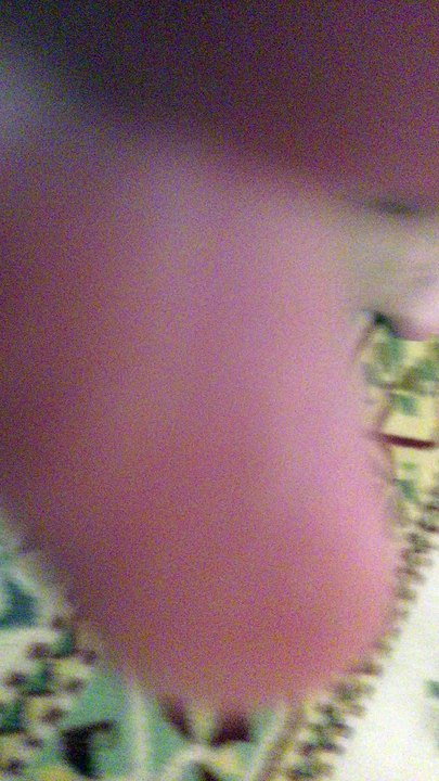 leel