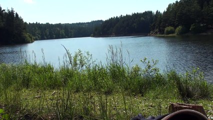 Le marxisme 1 Réflexions à partir de l'ouvrage de Mr Van Overbergh