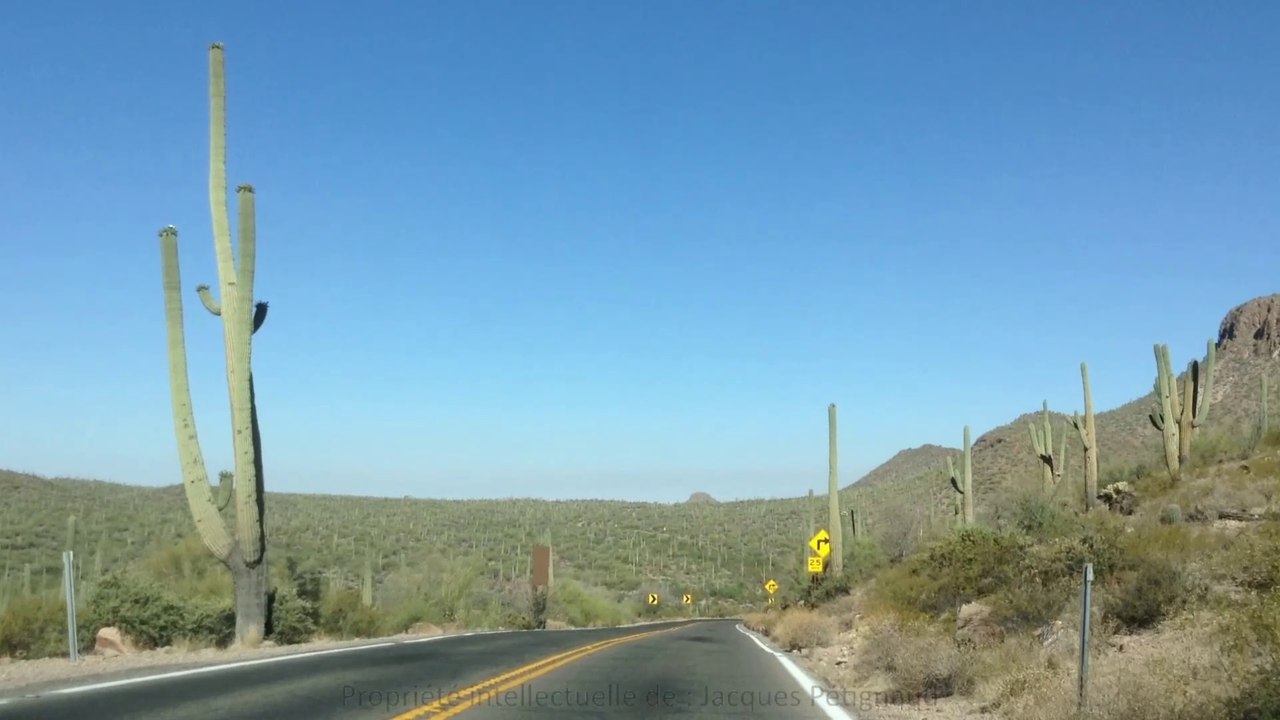 Saguaro National Park - Arizona - Rd 60