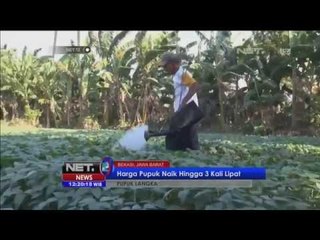 Kelangkaan Pupuk Terjadi di Bekasi -NET12