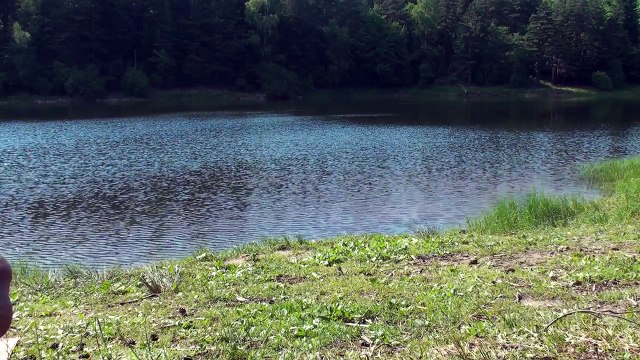 Le marxisme 2 Réflexions à partir de l'ouvrage de Mr Van Overberh