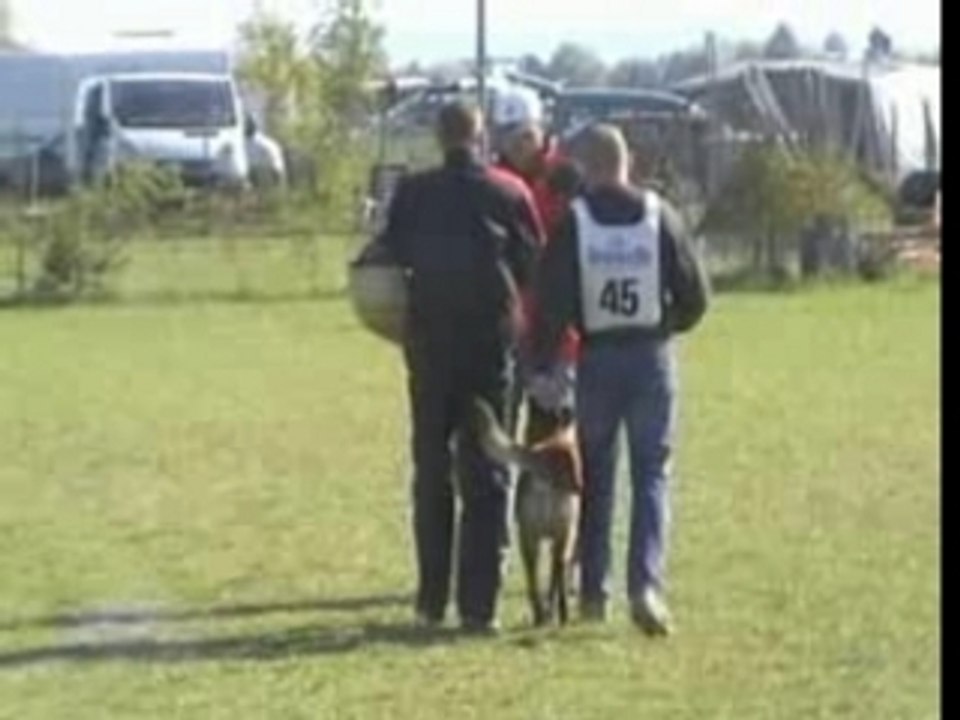 ÖKV StM 2007-Totti de la Plaine des Cheyennes Schutz