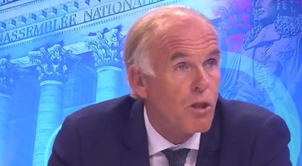 Législatives - Tian (LR) : "Je n'ai pas réussi à sensibiliser sur le danger d'une candidature Macron"