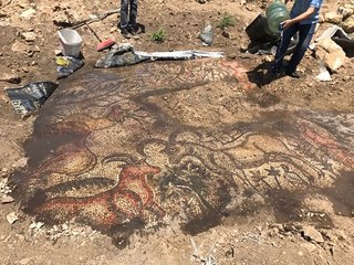 Adıyaman'da 1600 Yıllık Mozaik Bulundu