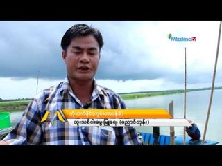 ငါးေမြးျမဴေရးလုပ္ငန္းႏွင့္ငါးေစ်းကြက္(Part_2)