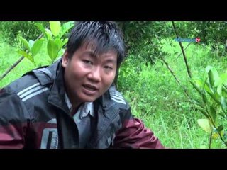 ပ်ားလိေမၼာ္စိုက္ပ်ိဳးေရး (Part_2)