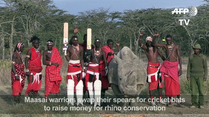 Kenya's Maasai Warriors bat to save rhinos