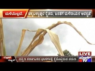 Chikballapur: Drought Situation Puts Farmers In Trouble