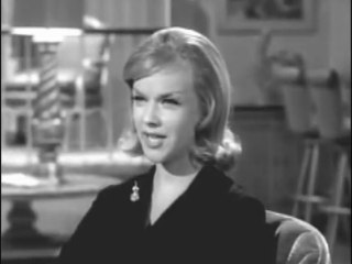 Dallas-fort Worth Honey West spot