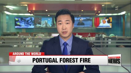 At least 61 killed in Portugal forest fire