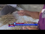 Perajin tusuk sate di Cianjur kebanjiran pesanan jelang Idul Adha - NET12