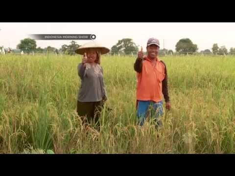 Kekayaan Budaya dan Alam Desa Bebanir Bangun, Kalimantan Timur -IMS