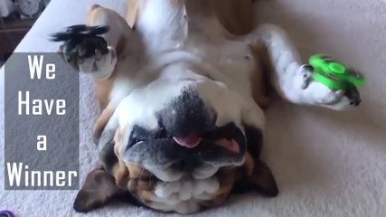 Stop the fidget spinner videos, we have a winner