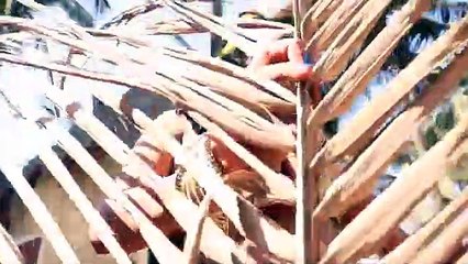 जूलिया जूलिया कहके - Julia Julia Kaheke - लेटेस्ट भोजपुरी आइटम सांग २०१७ - HD - भोजपुरी गाने