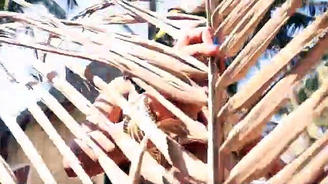 जूलिया जूलिया कहके - Julia Julia Kaheke - लेटेस्ट भोजपुरी आइटम सांग २०१७ - HD - भोजपुरी गाने