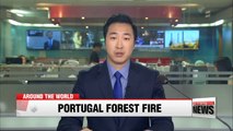 At least 61 killed in Portugal forest fire